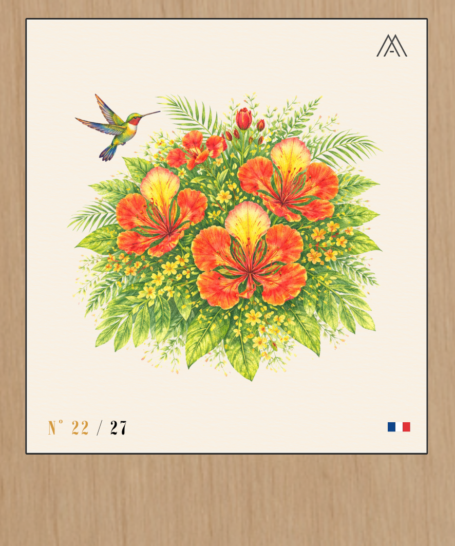 Fleur de Flamboyant - Instant Fleurs Tropicales - N°22