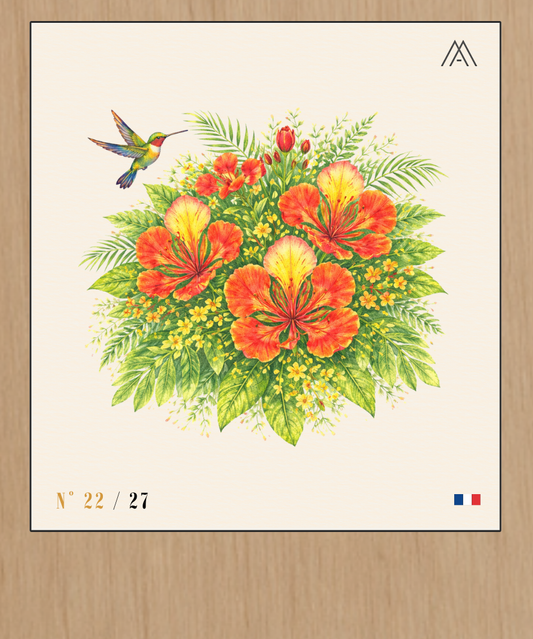 Fleur de Flamboyant - Instant Fleurs Tropicales - N°22