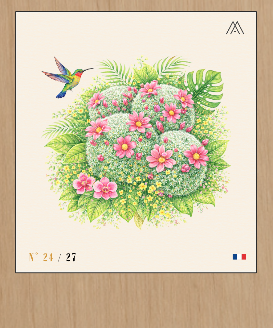 Cactus en Fleur - Instant Fleurs Tropicales - N°24