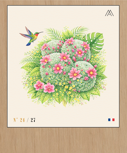 Cactus en Fleur - Instant Fleurs Tropicales - N°24