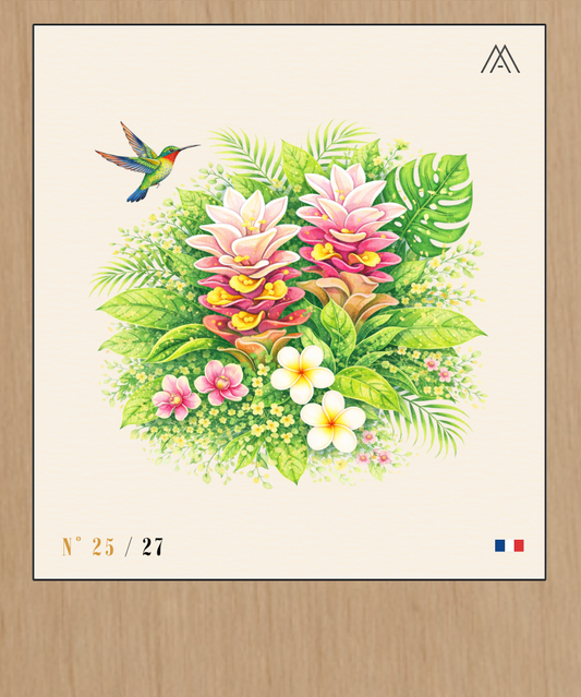 Fleur de Curcuma - Instant Fleurs Tropicales - N°25