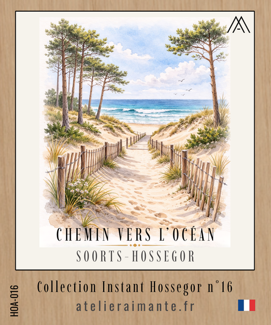 Chemin vers l'Océan - Hossegor - N°16
