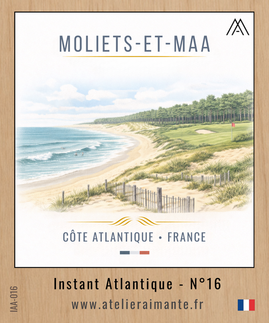 Atlantique - Moliets-et-Maa - N°16