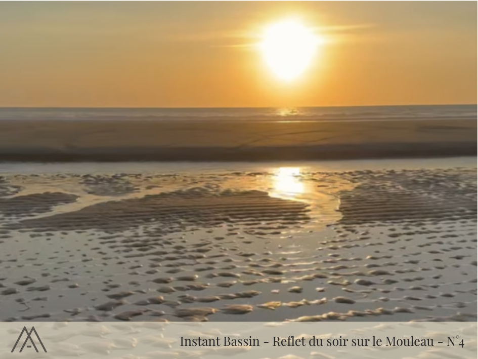 Magnet "Instant Bassin" - Coucher de soleil au Canon - N°3