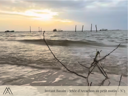 Magnet "Instant Bassin" - Coucher de soleil au Canon - N°3