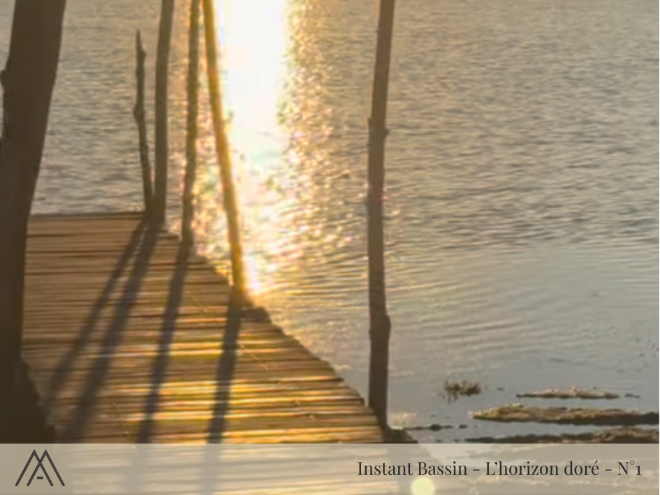 Magnet "Instant Bassin" - Coucher de soleil au Canon - N°3