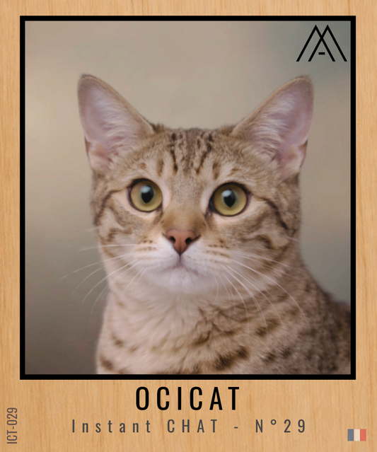 Magnet Instant Chat - Ocicat - N° 29