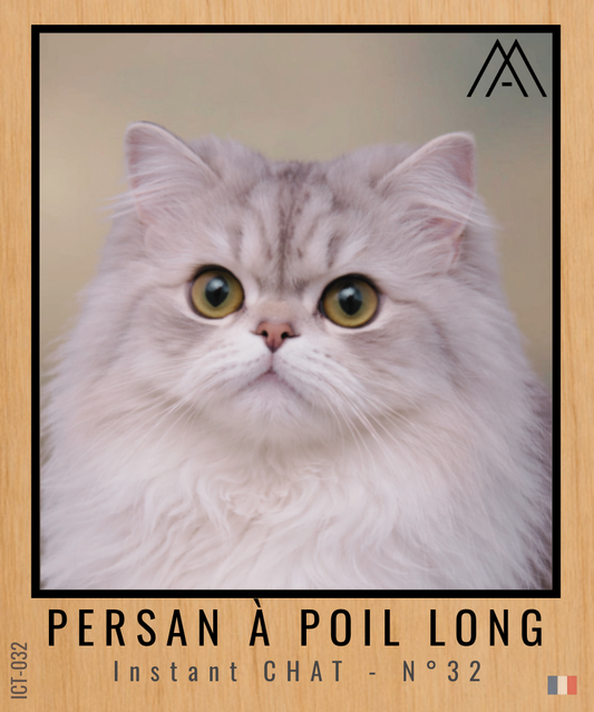 Magnet Instant Chat - Persan à Poil Long - N° 32