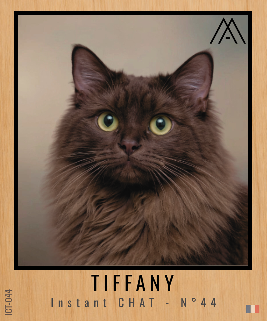 Magnet Instant Chat - Tiffany - N° 44