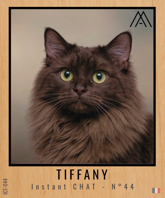 Magnet Instant Chat - Tiffany - N° 44