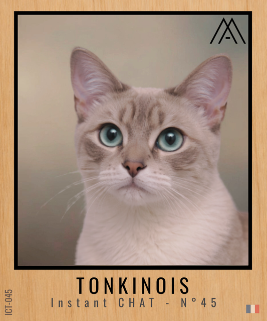 Magnet Instant Chat - Tonkinois - N° 45