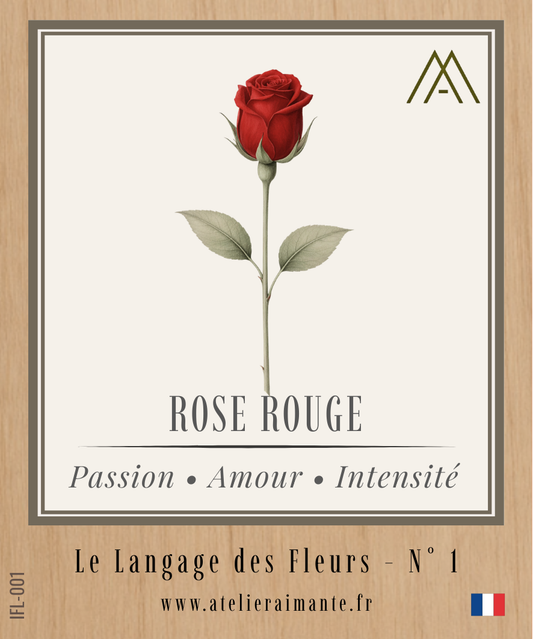 Rose Rouge - Fleur - N°1