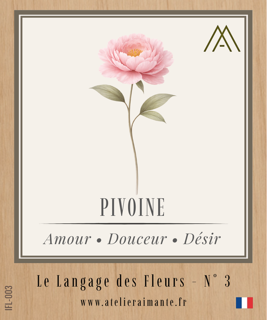 Pivoine - Fleur - N°3