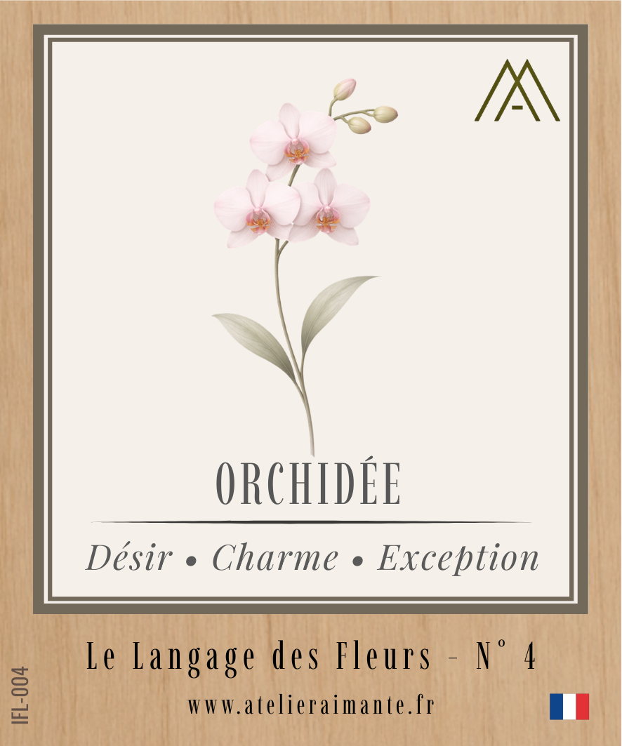 Orchidée - Fleur - N°4