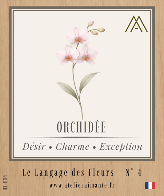 Orchidée - Fleur - N°4