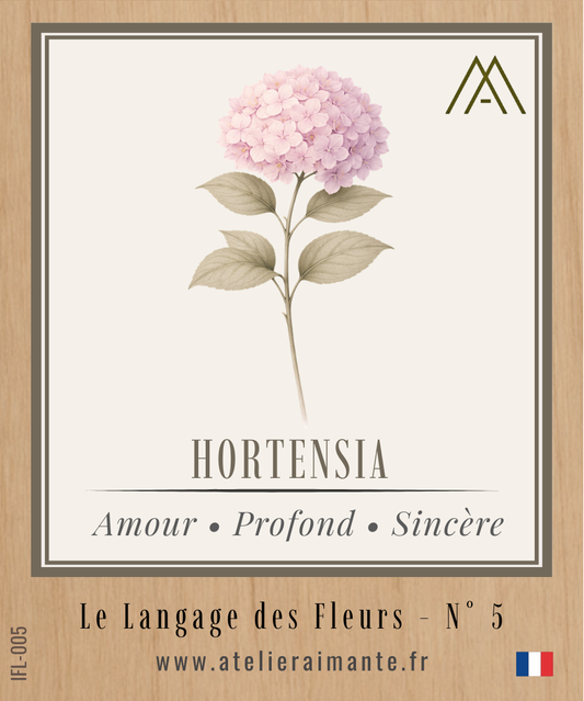 Hortensia - Fleur - N°5