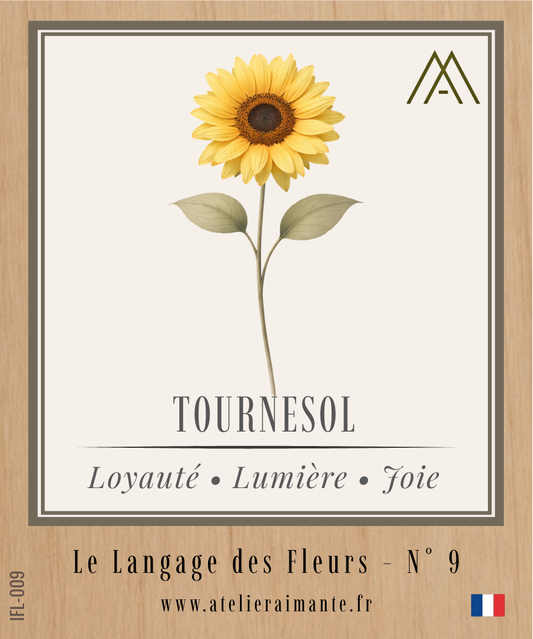 Tournesol - Fleur - N°9