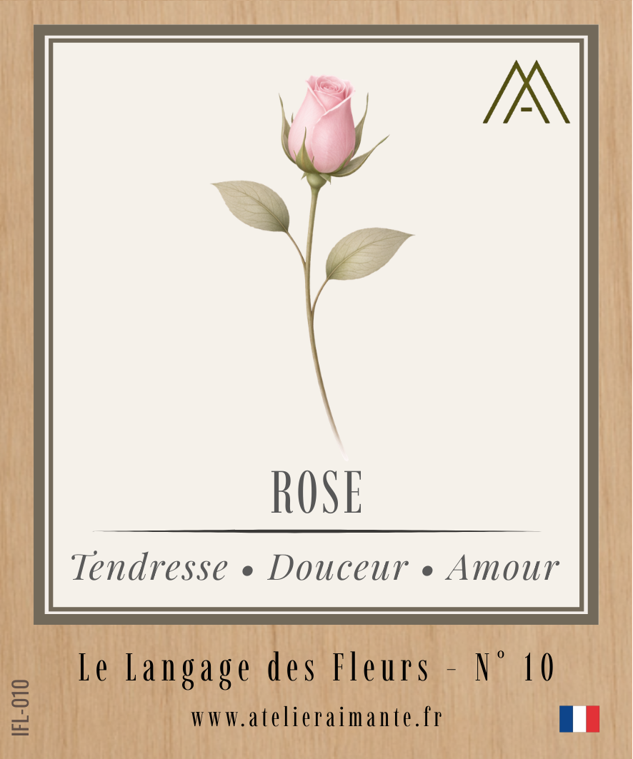 Rose - Fleur - N°10