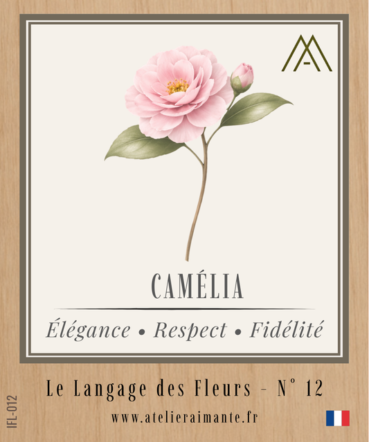 Camélia - Fleur - N°12