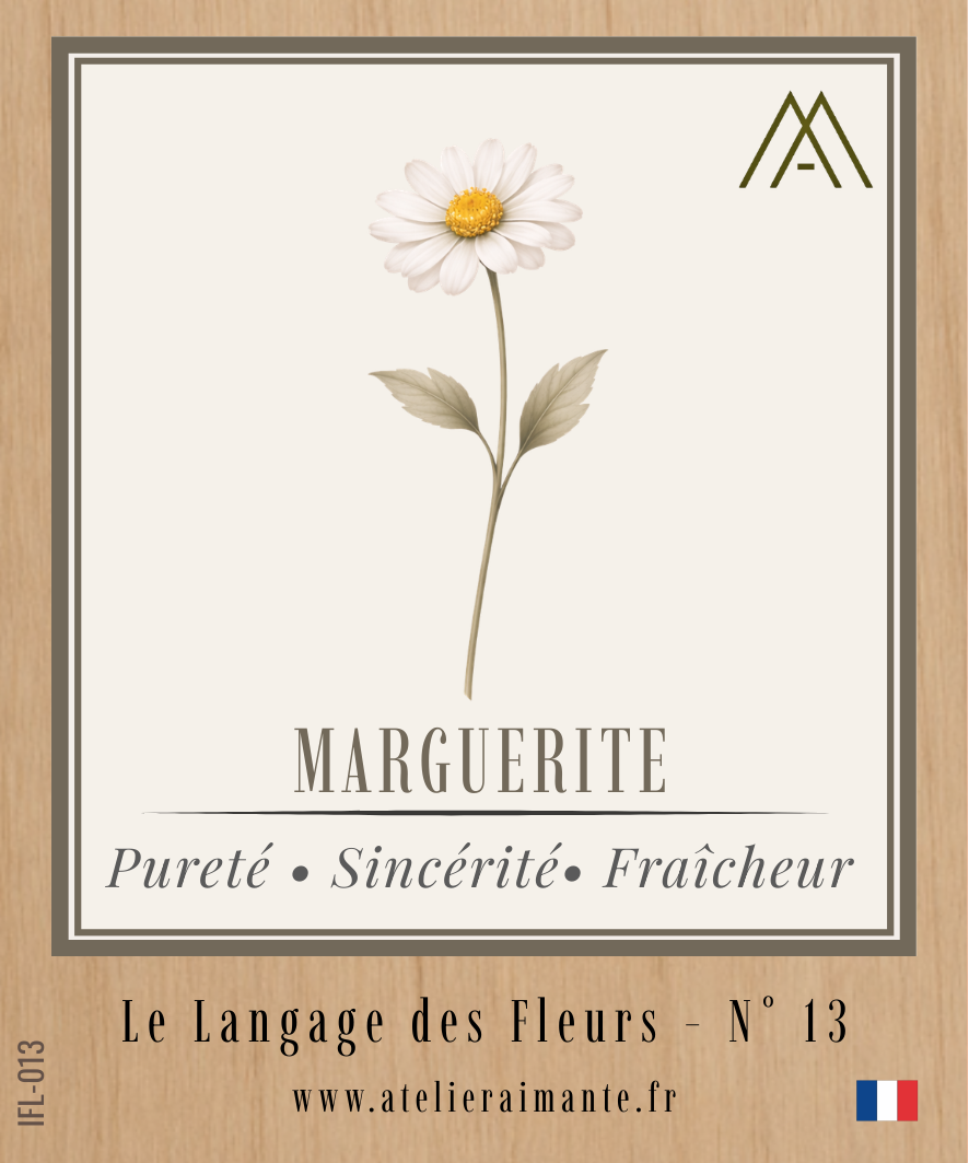 Marguerite - Fleur - N°13