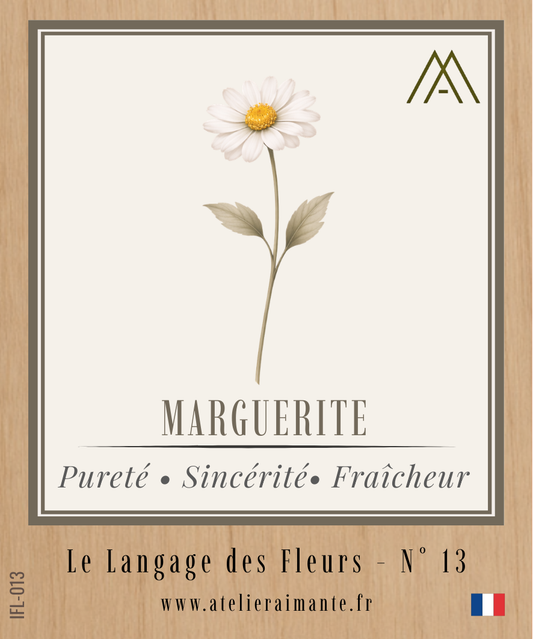 Marguerite - Fleur - N°13