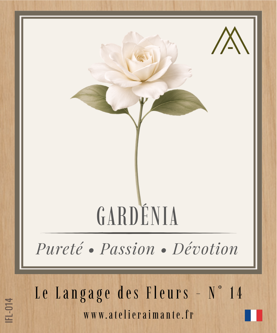 Gardénia - Fleur - N°14