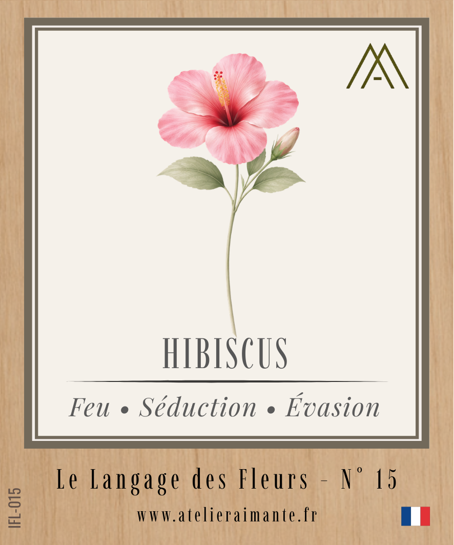 Hibiscus - Fleur - N°15