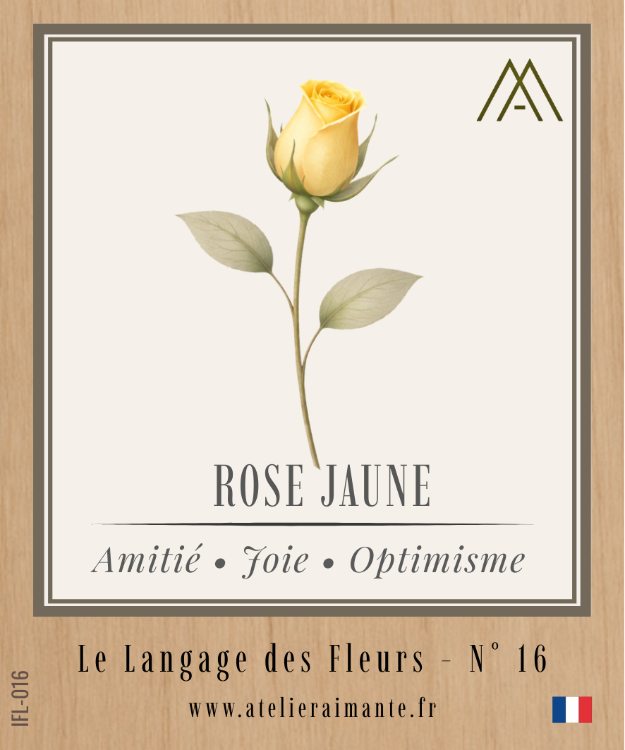 Rose Jaune - Fleur - N°16
