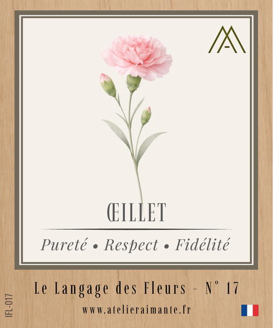 Œillet - Fleur - N°17