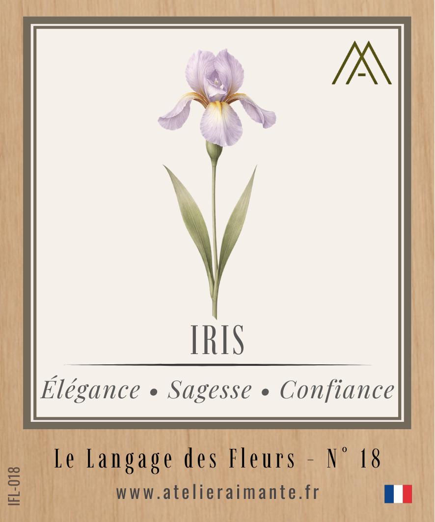 Iris - Fleur - N°18