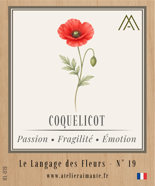Coquelicot - Fleur - N°19