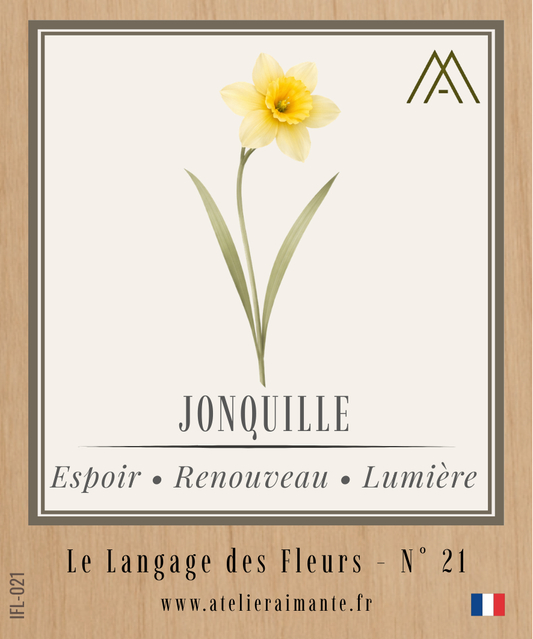 Jonquille - Fleur - N°21