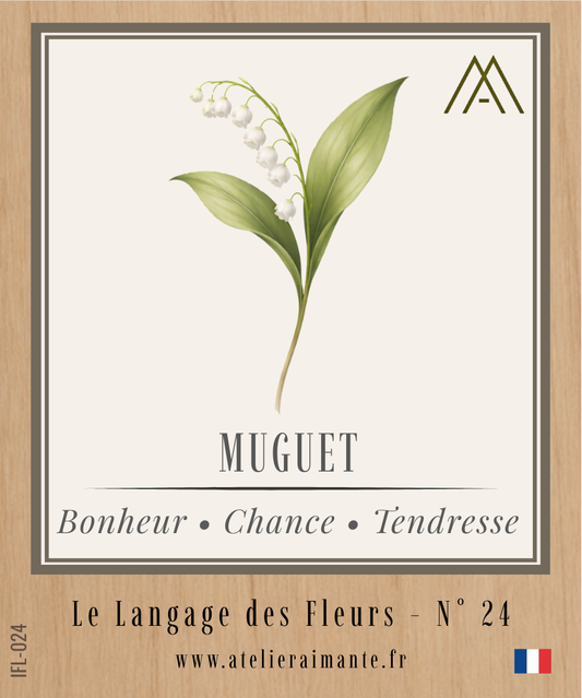 Muguet - Fleur - N°24