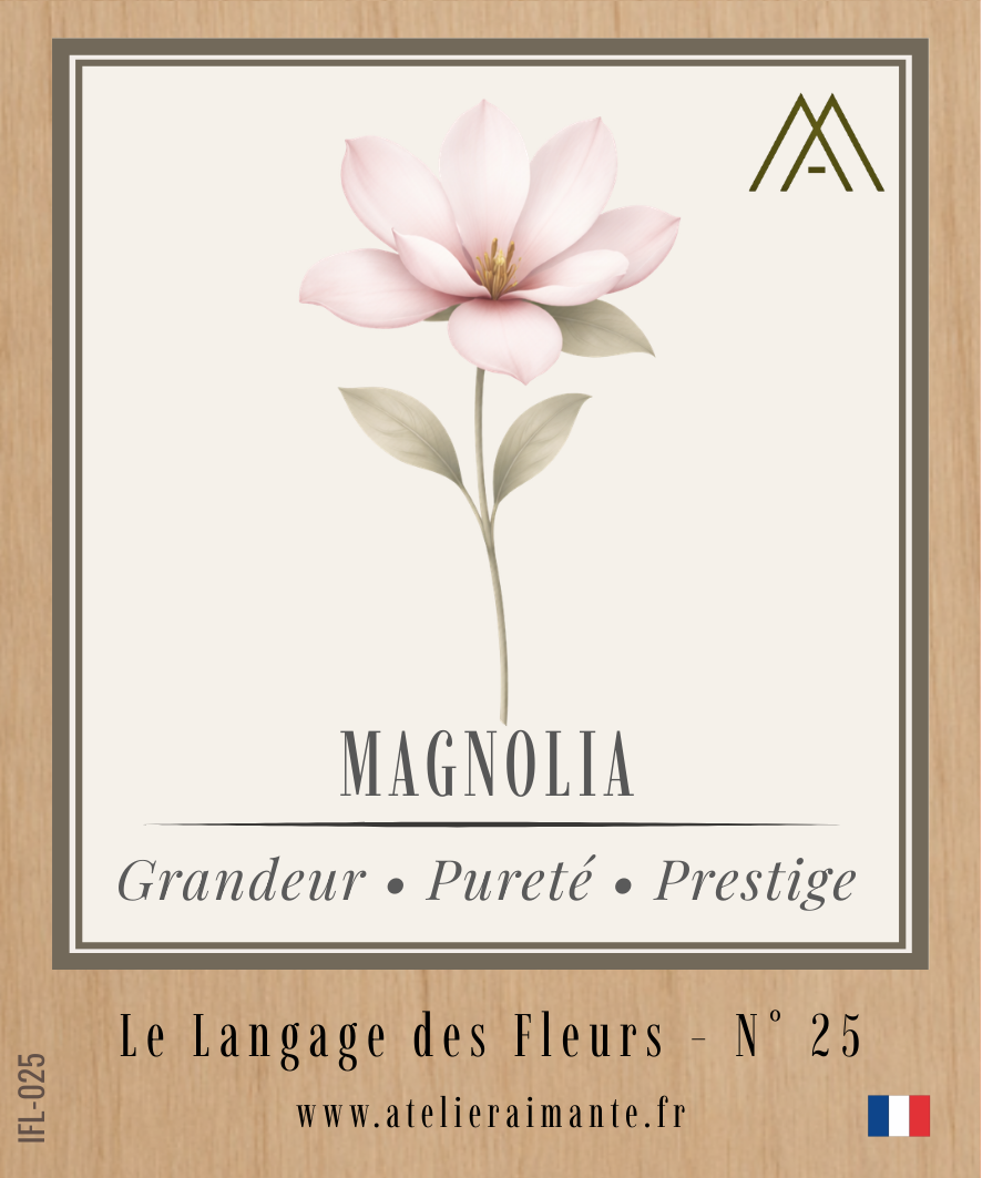 Magnolia - Fleur - N°25
