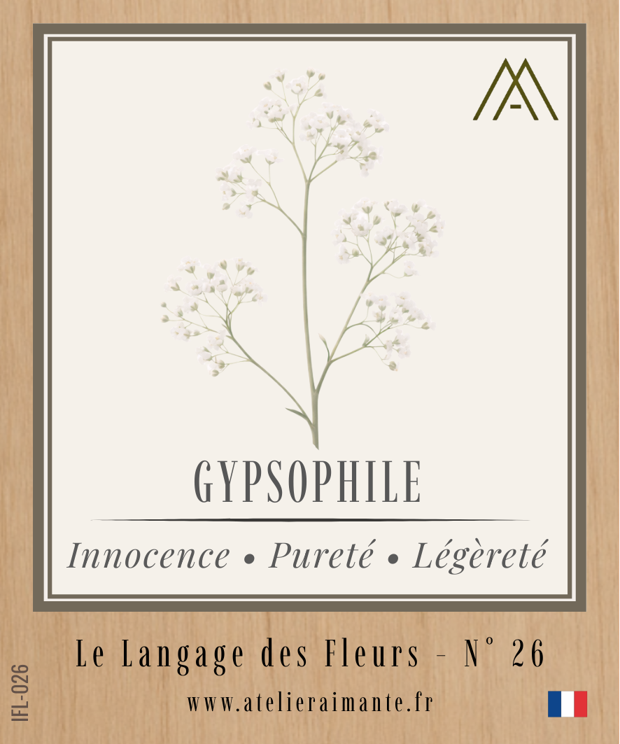 Gypsophile - Fleur - N°26