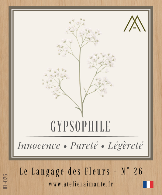Gypsophile - Fleur - N°26