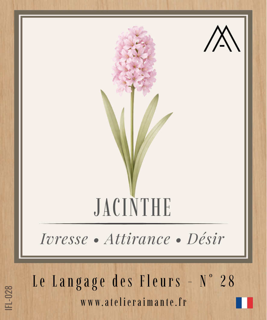 Jacinthe - Fleur - N°28