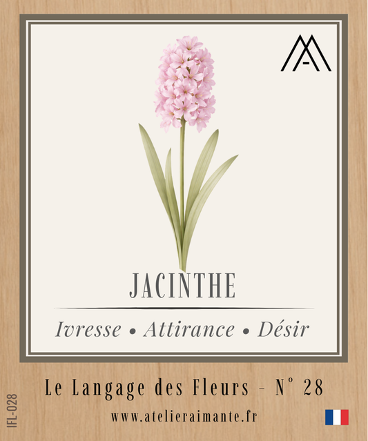 Jacinthe - Fleur - N°28