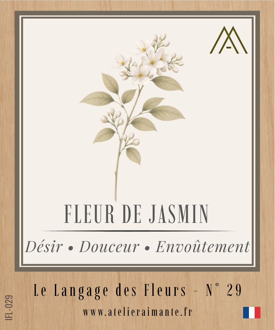 Fleur de Jasmin - Fleur - N°29