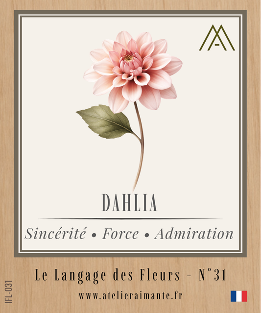Dahlia - Fleur - N°31