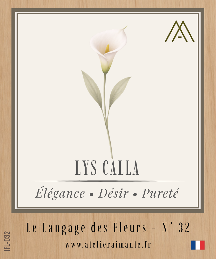 Lys Calla - Fleur - N°32
