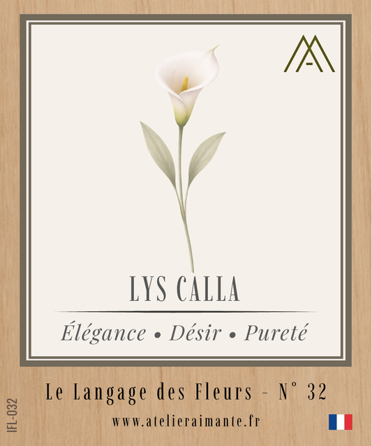 Lys Calla - Fleur - N°32