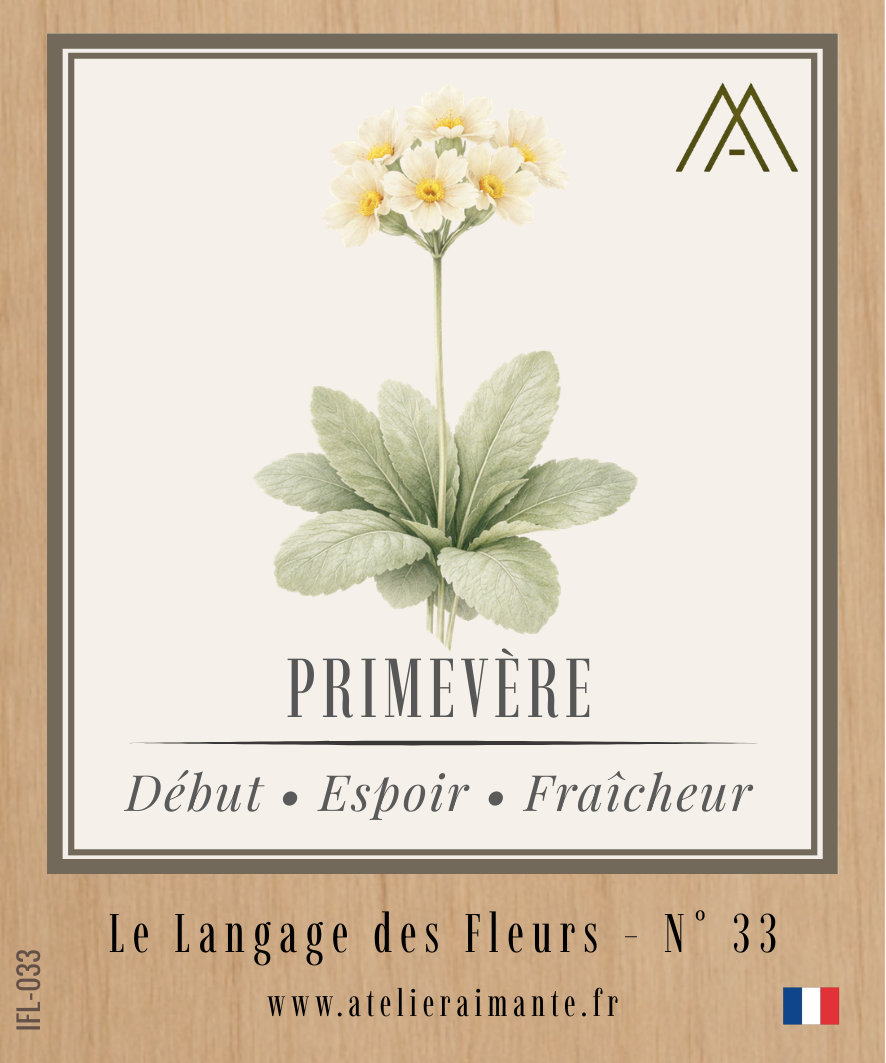 Primevère - Fleur - N°33
