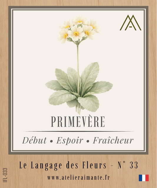 Primevère - Fleur - N°33