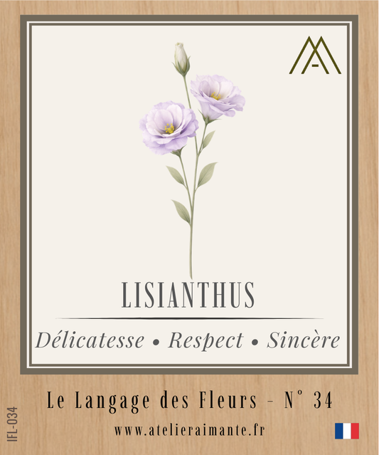 Lisianthus - Fleur - N°34