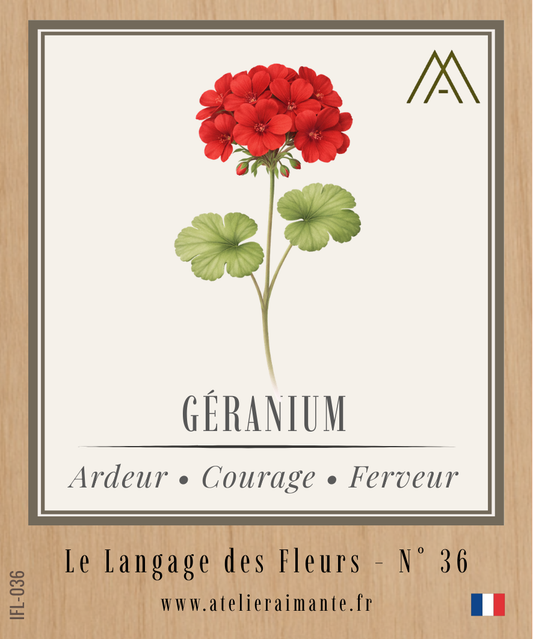 Géranium - Fleur - N°36