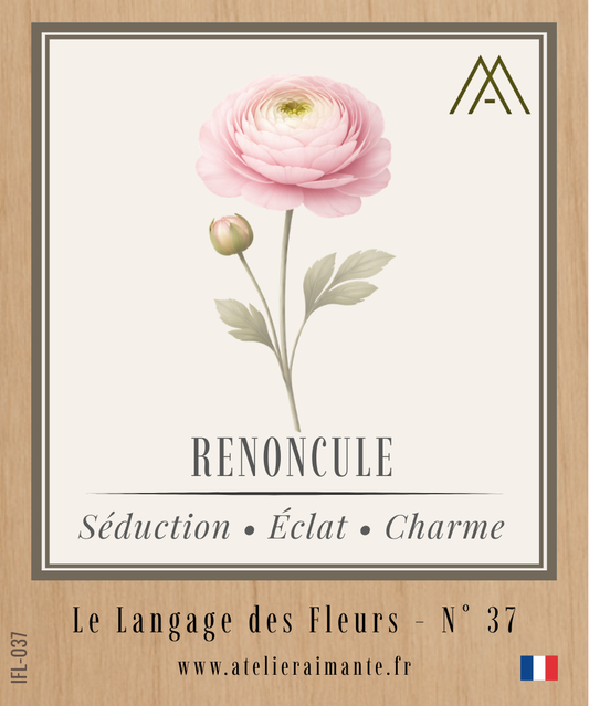 Renoncule - Fleur - N°37