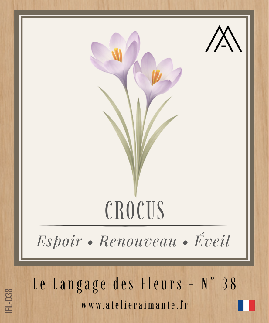Magnet Instant FLEUR - Crocus - N°38