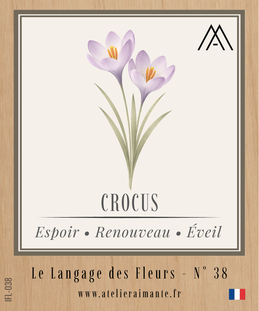 Magnet Instant FLEUR - Crocus - N°38