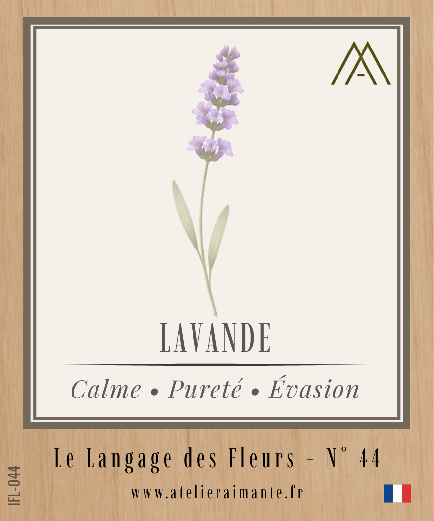 Magnet Instant FLEUR - Lavande - N°44